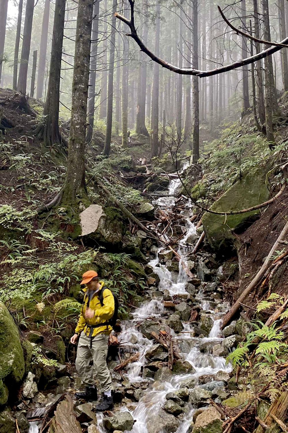 Post featuring undefined