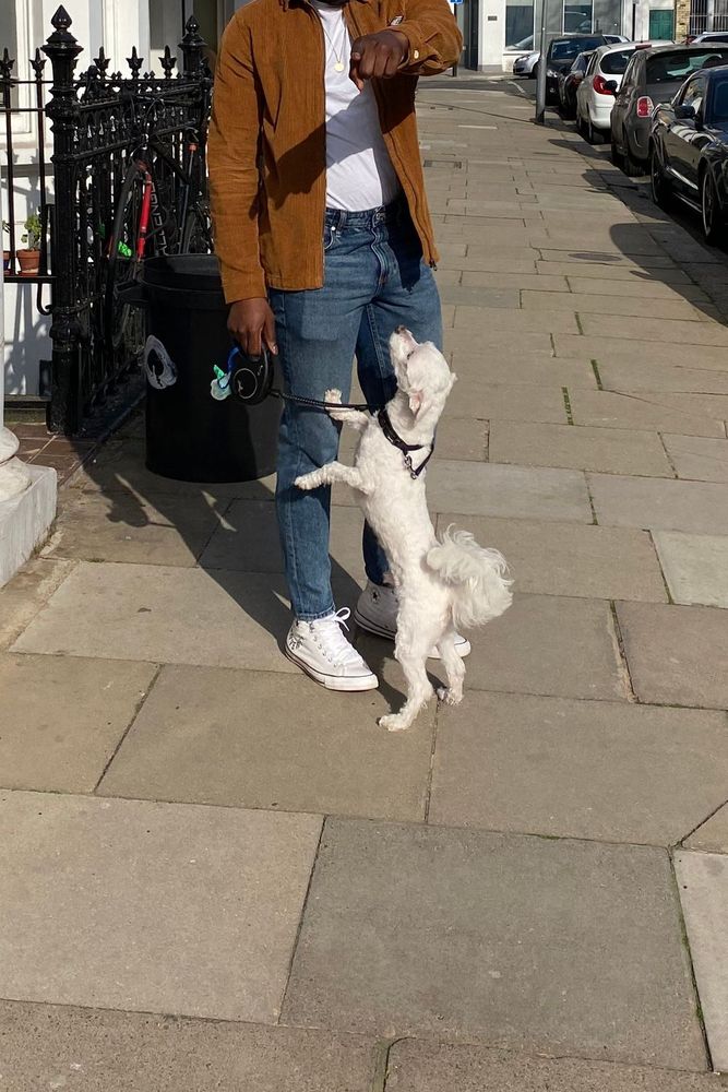 Princey29's fit featuring Jack & Jones, Converse