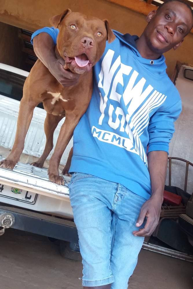 Ronnie41's fit featuring SHEIN | [object Object], [object Object]