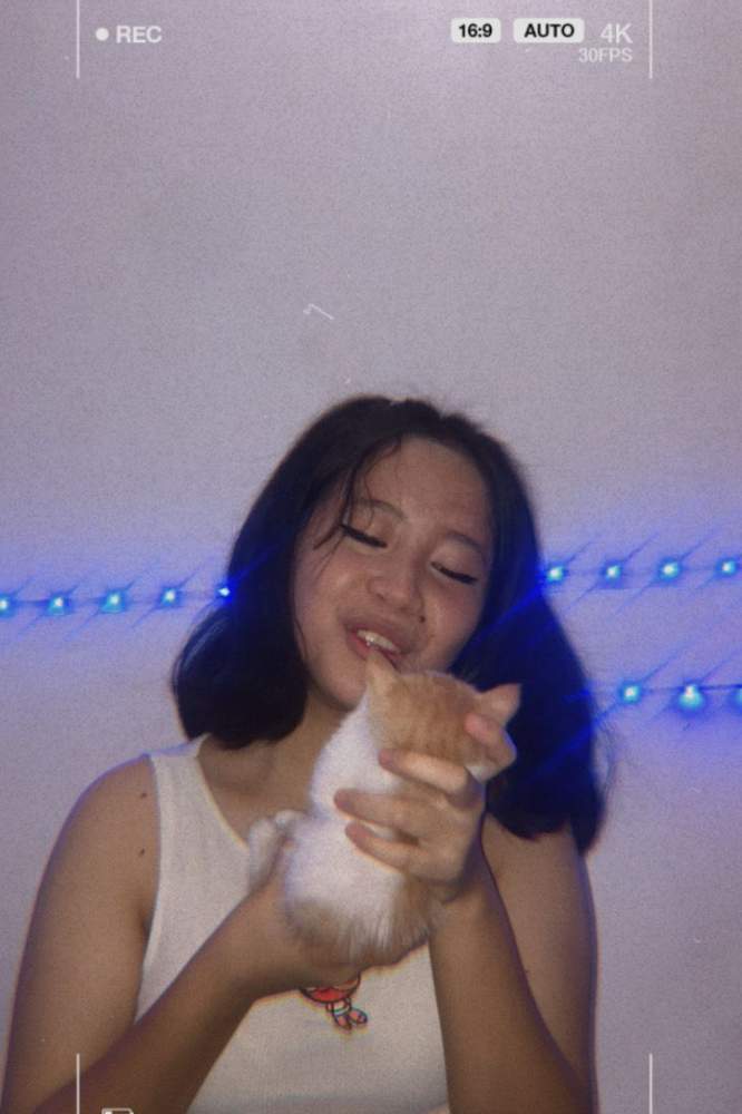 christinezarrr's fit featuring Amazon Basics | [object Object], [object Object]