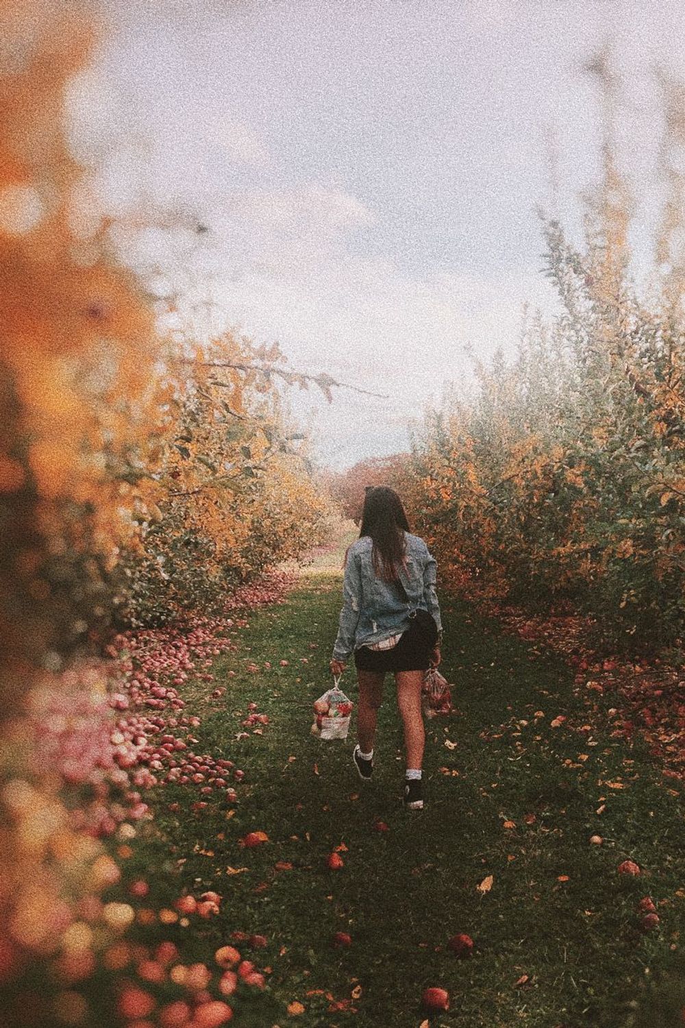 Post featuring undefined