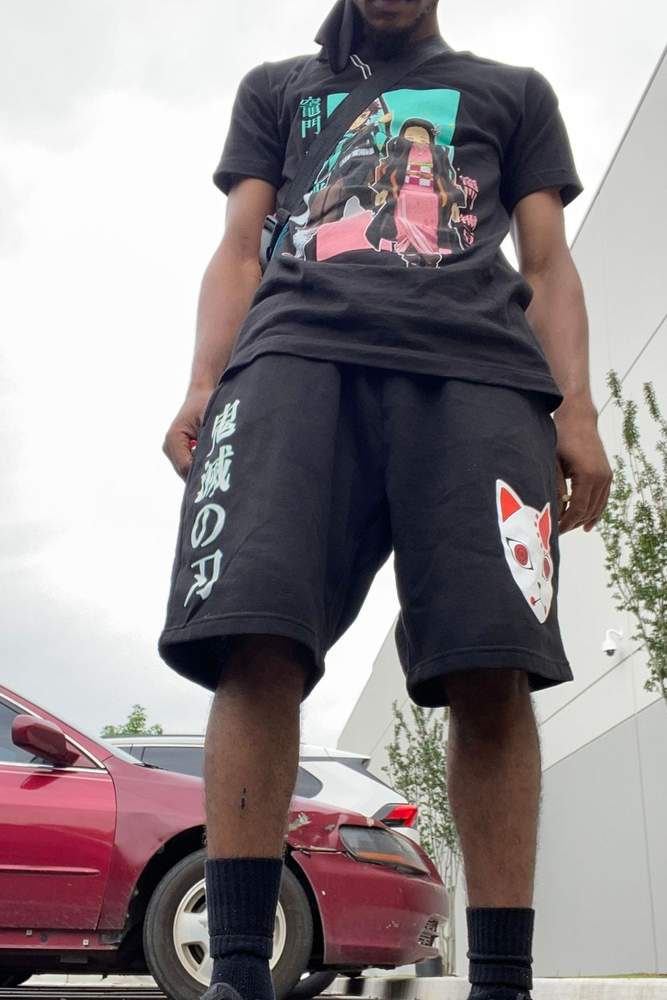 GhostStPvck's fit featuring Aniplex, VIZ