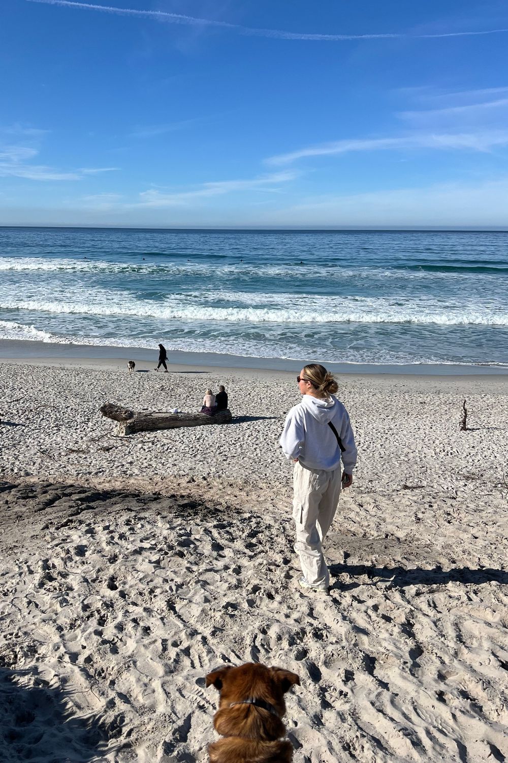 Post featuring undefined