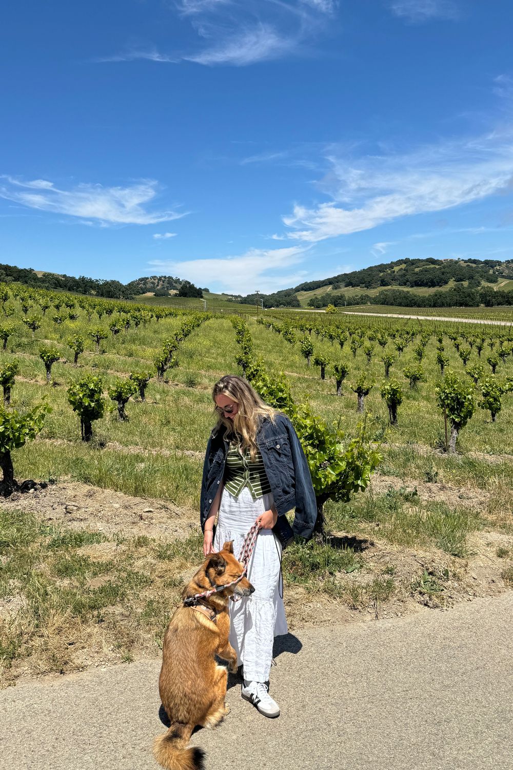 Post featuring undefined