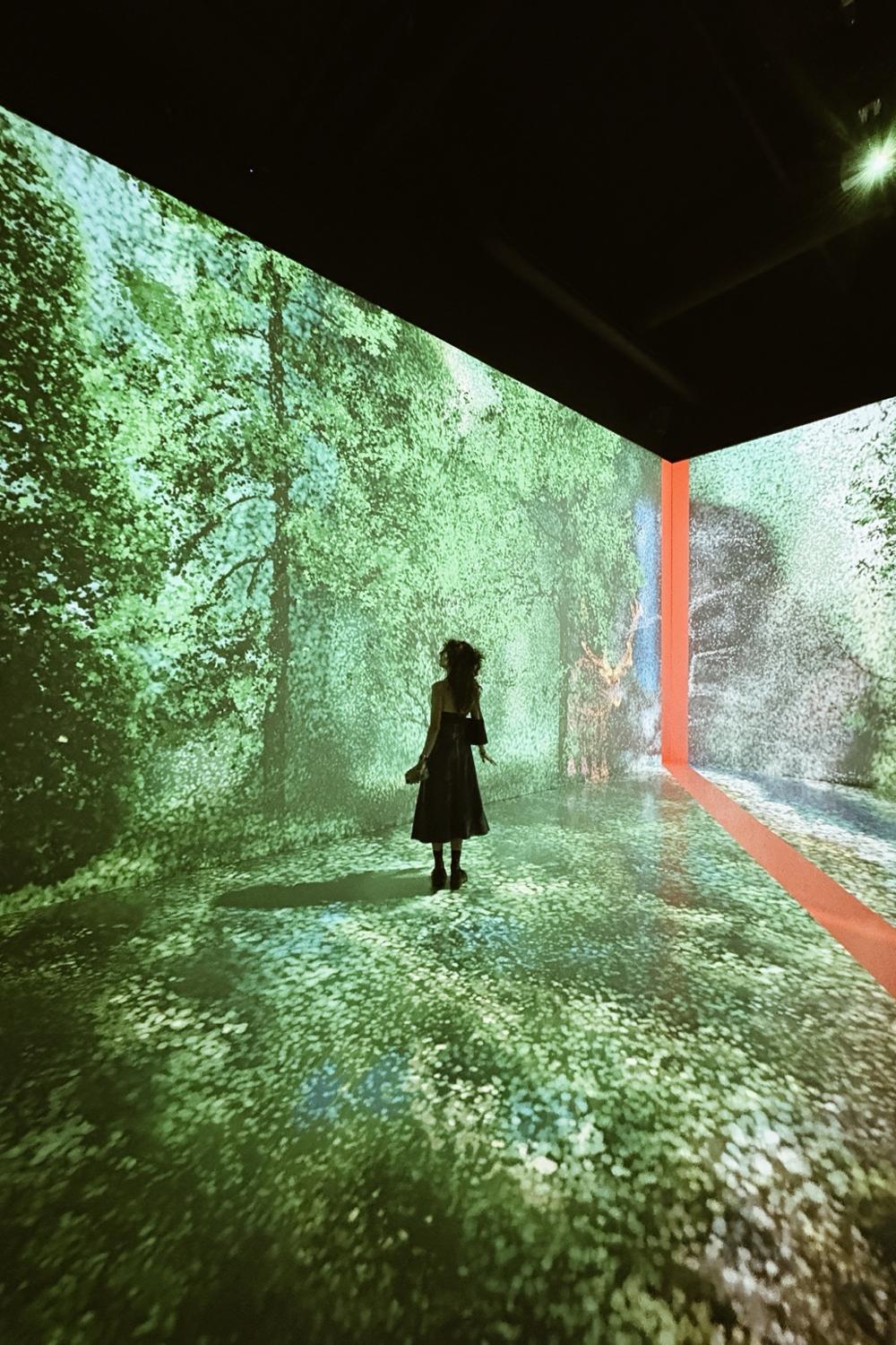 Post featuring Miu Regard sunglasses