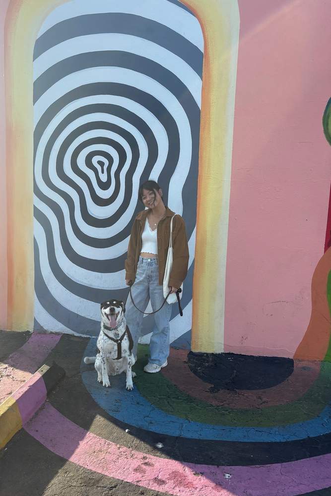 Stardust858's fit featuring Zara, New Balance | [object Object], [object Object], [object Object], [object Object], [object Object], [object Object], [object Object]