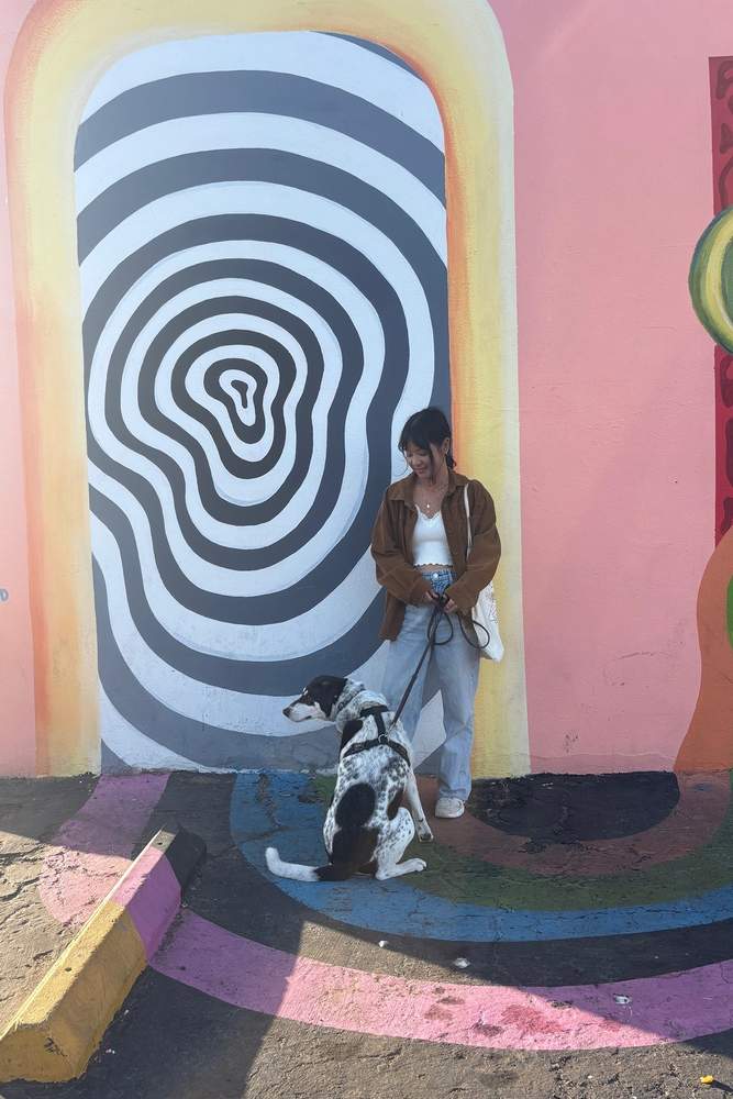 Stardust858's fit featuring Zara, New Balance | [object Object], [object Object], [object Object], [object Object], [object Object], [object Object], [object Object]