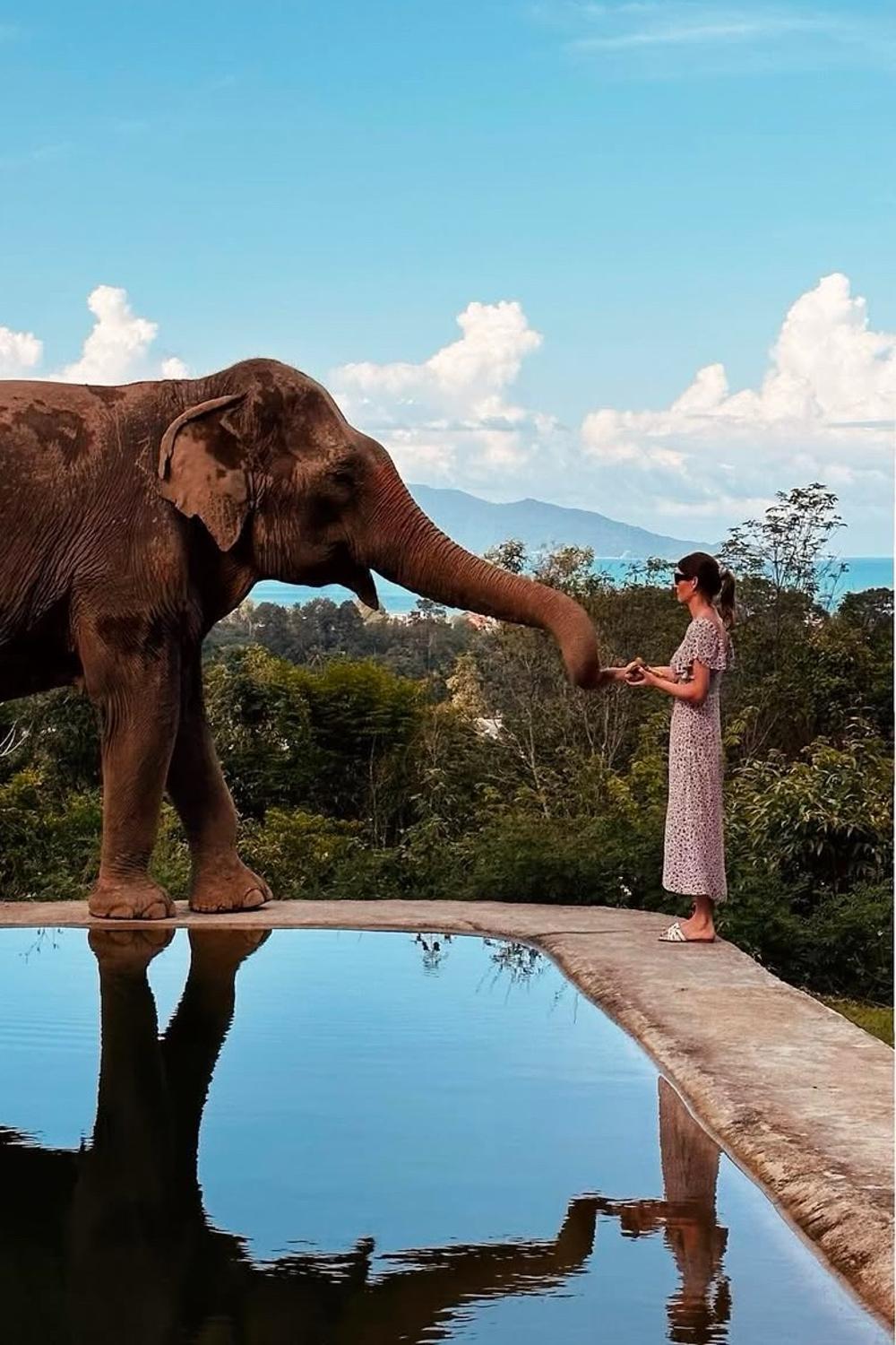 Post featuring undefined