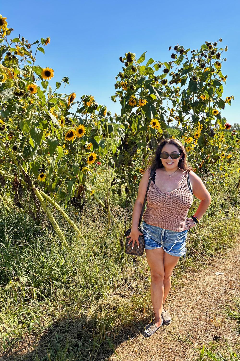 Post featuring AE Next Level Curvy Ripped High-Waisted Denim Short Short Women's Medium Destroy 000