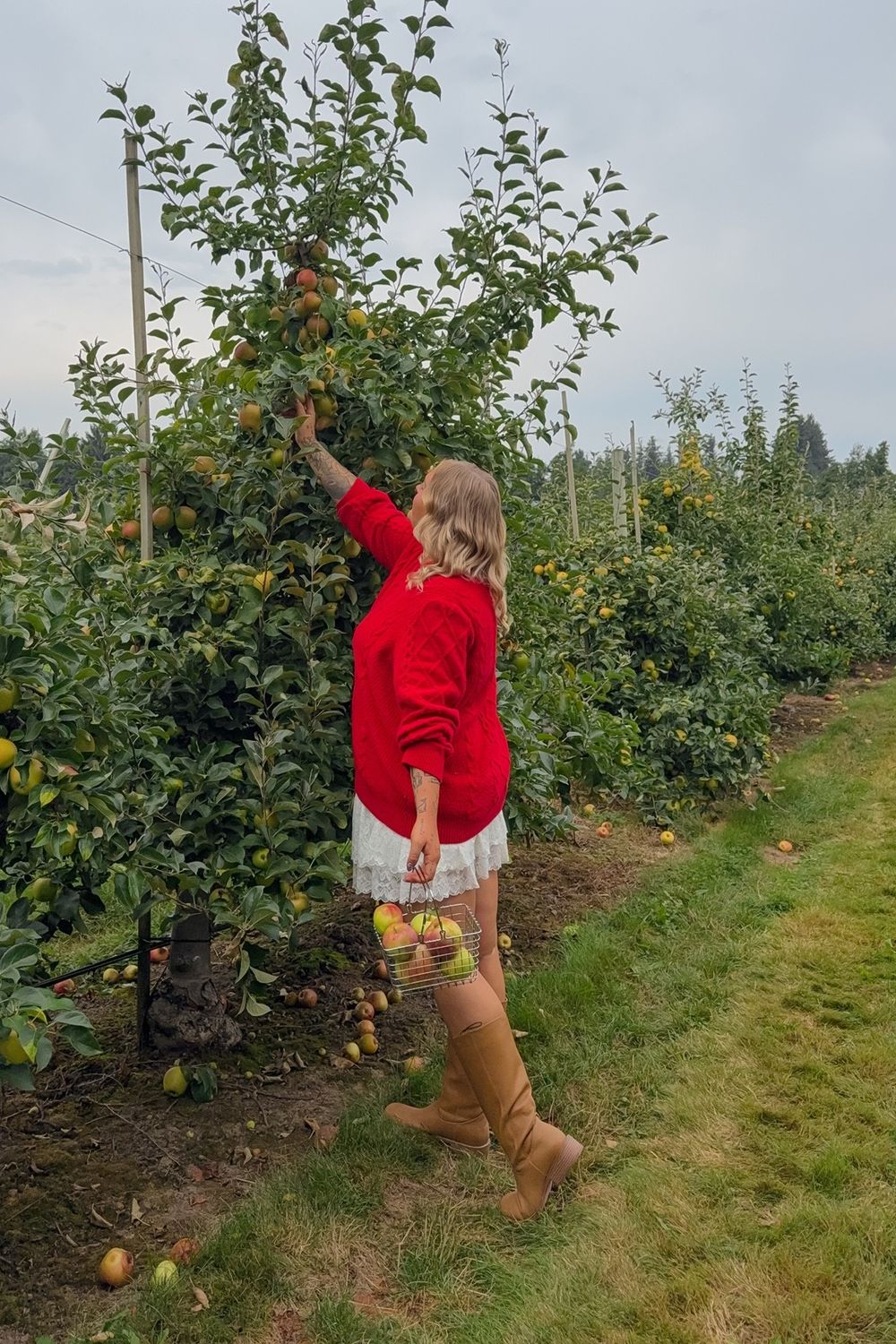 Post featuring undefined