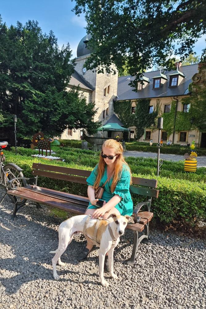 Alicixxx's fit featuring Naoko, Ray-Ban