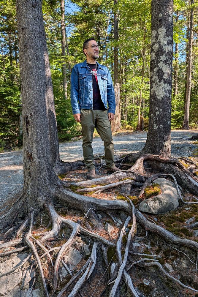 DaleFu's fit featuring Levi's, Tommy Hilfiger, Blundstone | [object Object], [object Object]