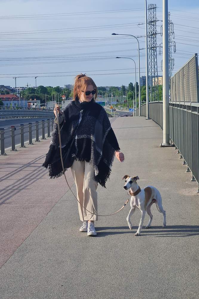 Alicixxx's fit featuring Converse, Ray-Ban, Uniqlo, No brand 