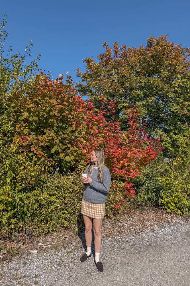 AStahre's fit featuring Le Tanneur, Ghanda, Zara, Sezane | [object Object], [object Object], [object Object], [object Object], [object Object], [object Object], [object Object]