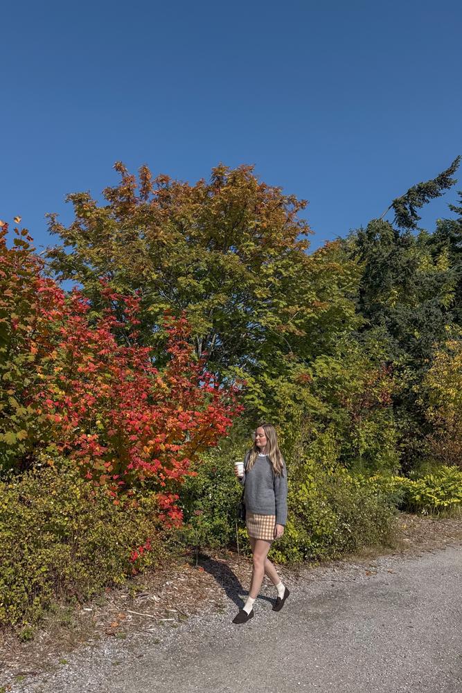 AStahre's fit featuring Le Tanneur, Ghanda, Zara, Sezane | [object Object], [object Object], [object Object], [object Object], [object Object], [object Object], [object Object]