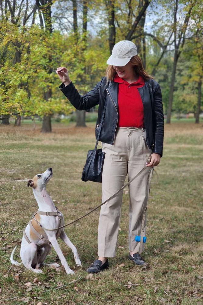 Alicixxx's fit featuring Chylak, Uniqlo, Calvin Klein, Venezia, Ralph Lauren, Mango | [object Object]