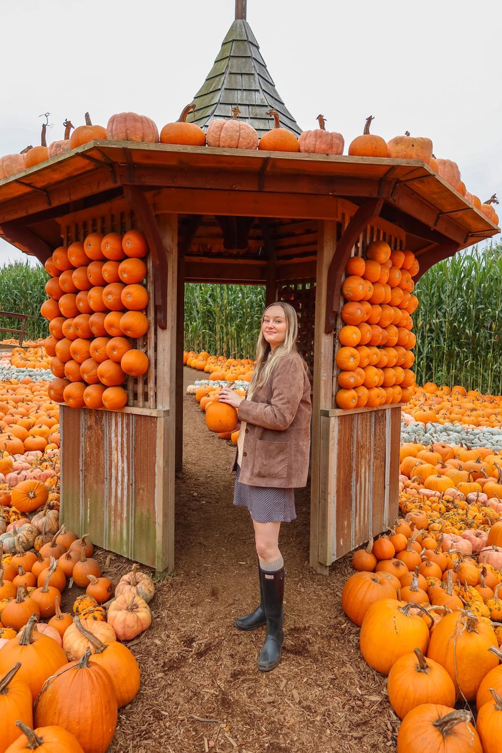 Post featuring Verity Mini Skirt