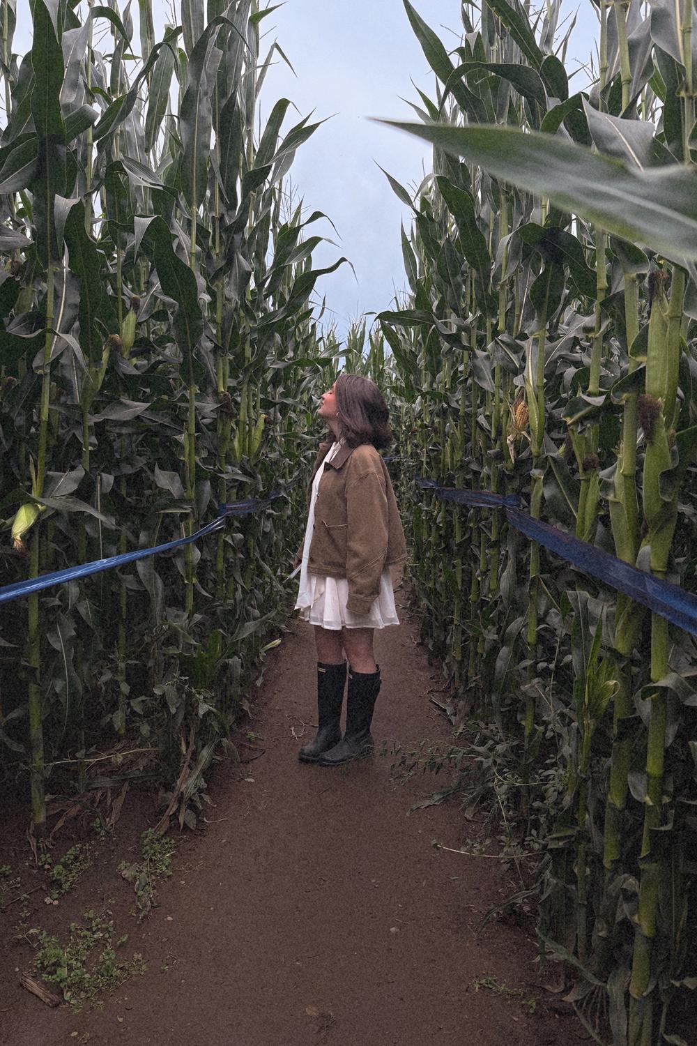 Post featuring Women's Original Back Adjustable Tall Rain Boots