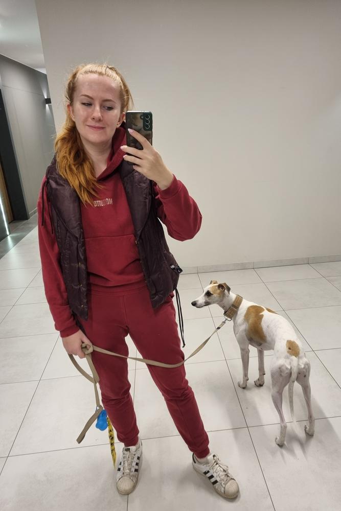 Alicixxx's fit featuring Adidas, H&M, Steve Madden | [object Object]