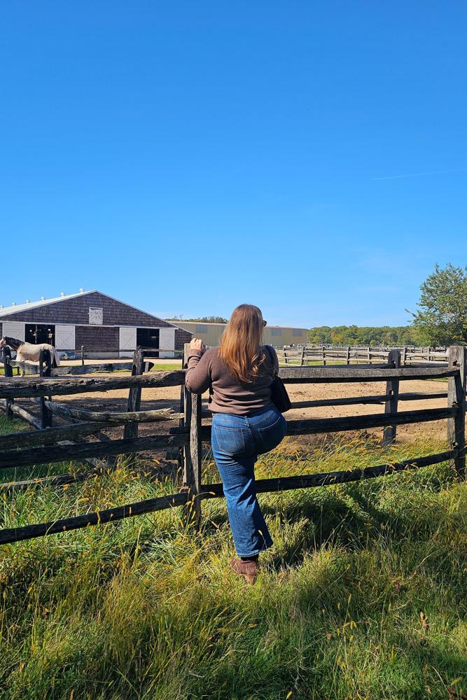 Afischer91's fit featuring Patricia Nash, DSW, Amazon Basics