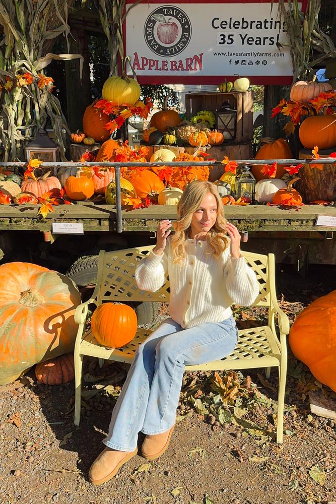 TessM's fit featuring , ,  | [object Object], [object Object], [object Object], [object Object], [object Object], [object Object], [object Object], [object Object]