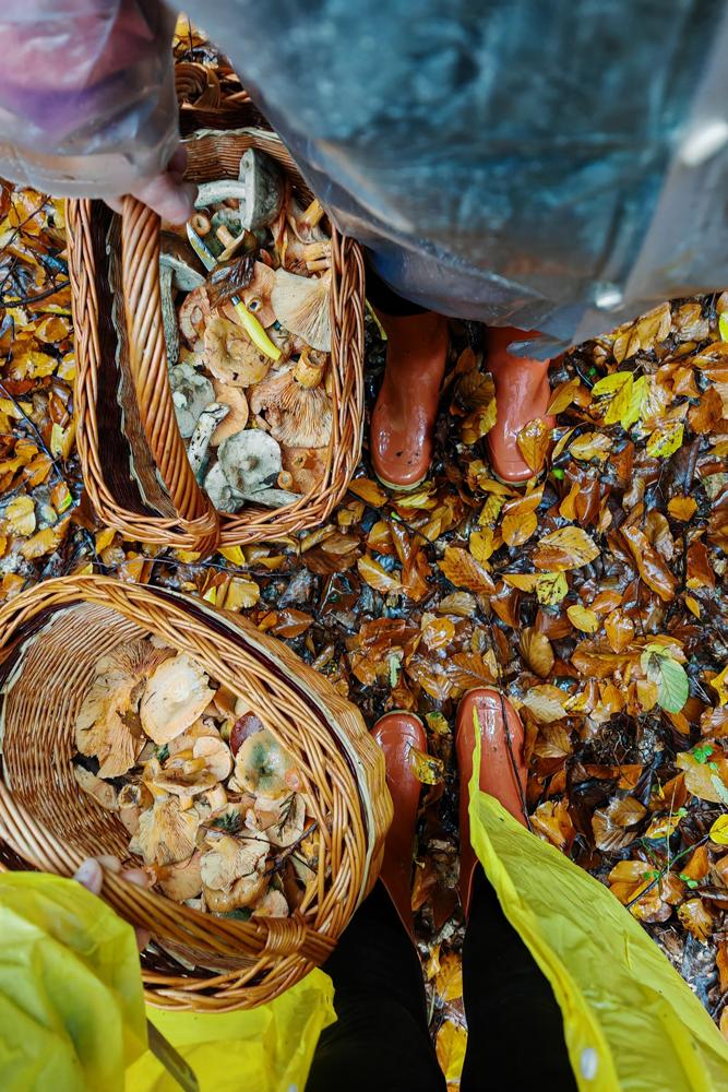 Potyczka's fit featuring Decathlon