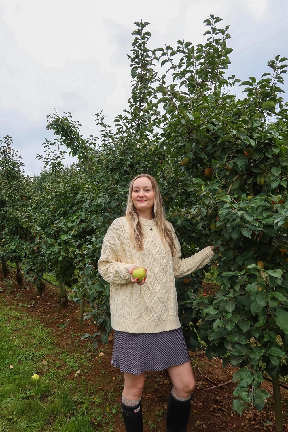 Post featuring Sunday Knit