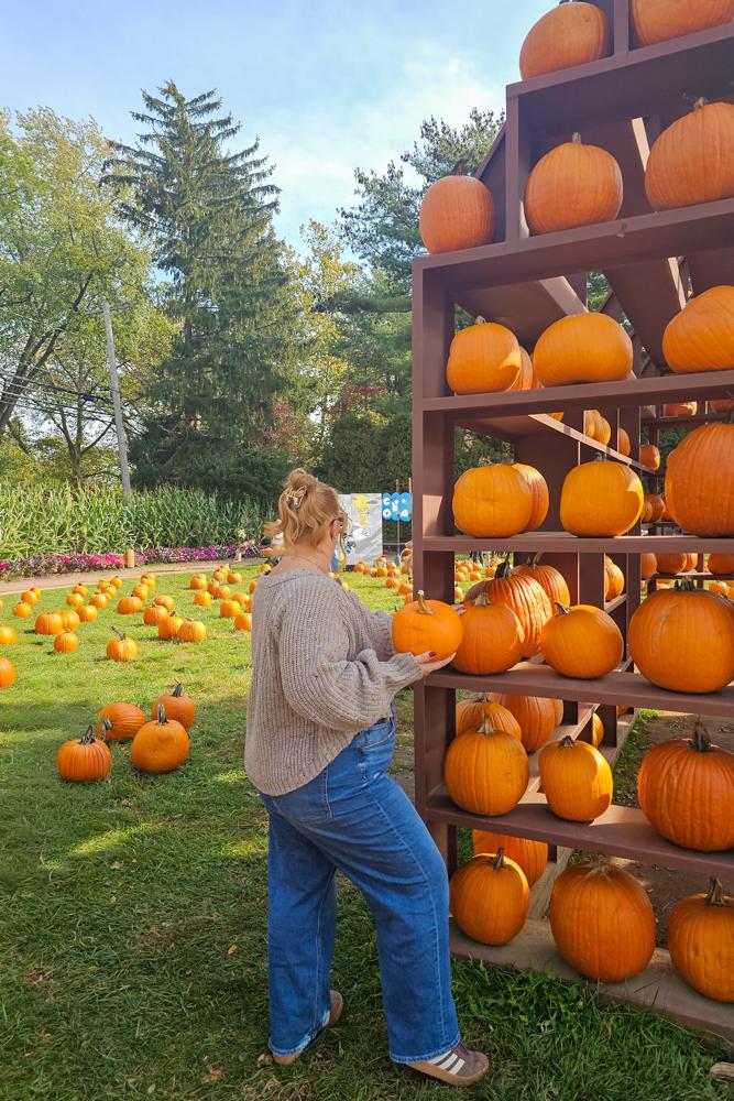 Afischer91's fit featuring , , 