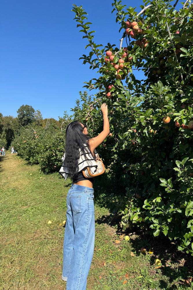 Itsemilyl's fit featuring , , , ,  | [object Object], [object Object], [object Object], [object Object], [object Object], [object Object], [object Object], [object Object]