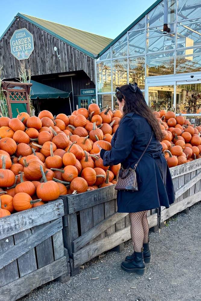 snugglebunbun's fit featuring , , , , ,  | [object Object], [object Object], [object Object], [object Object]