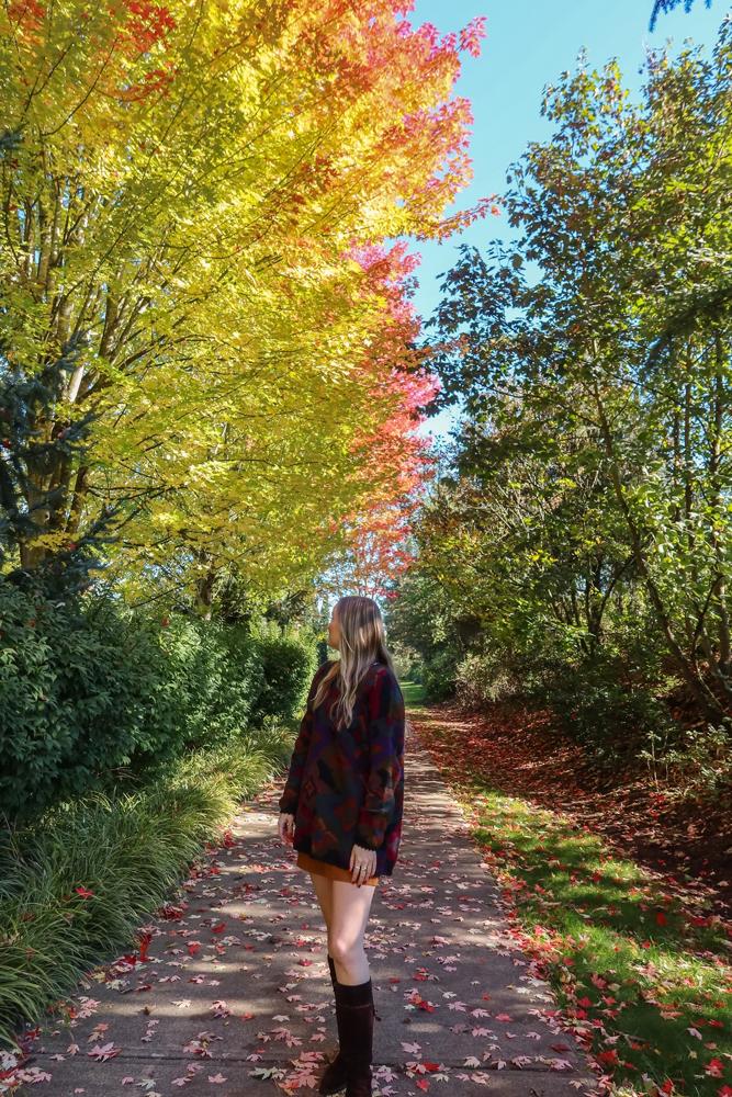 AStahre's fit featuring ,  | [object Object], [object Object], [object Object], [object Object], [object Object], [object Object], [object Object]