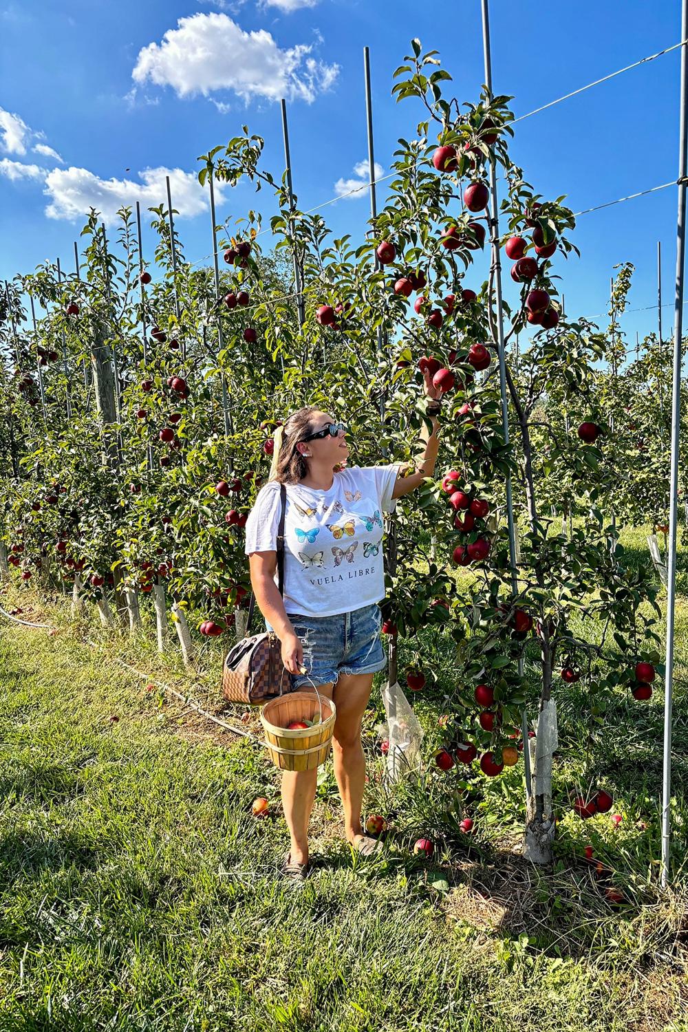 Post featuring Prada Symbole sunglasses