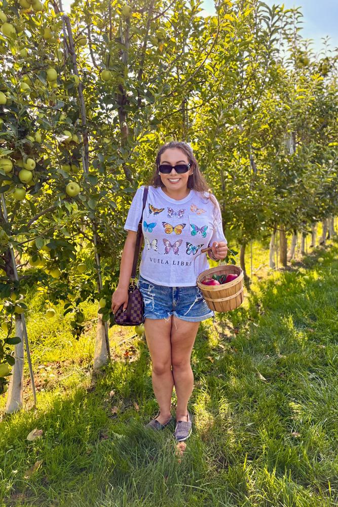 snugglebunbun's fit featuring Prada, Louis Vuitton, Amazon Basics, Toms, American Eagle