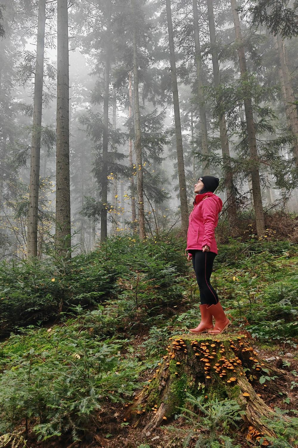 Post featuring undefined