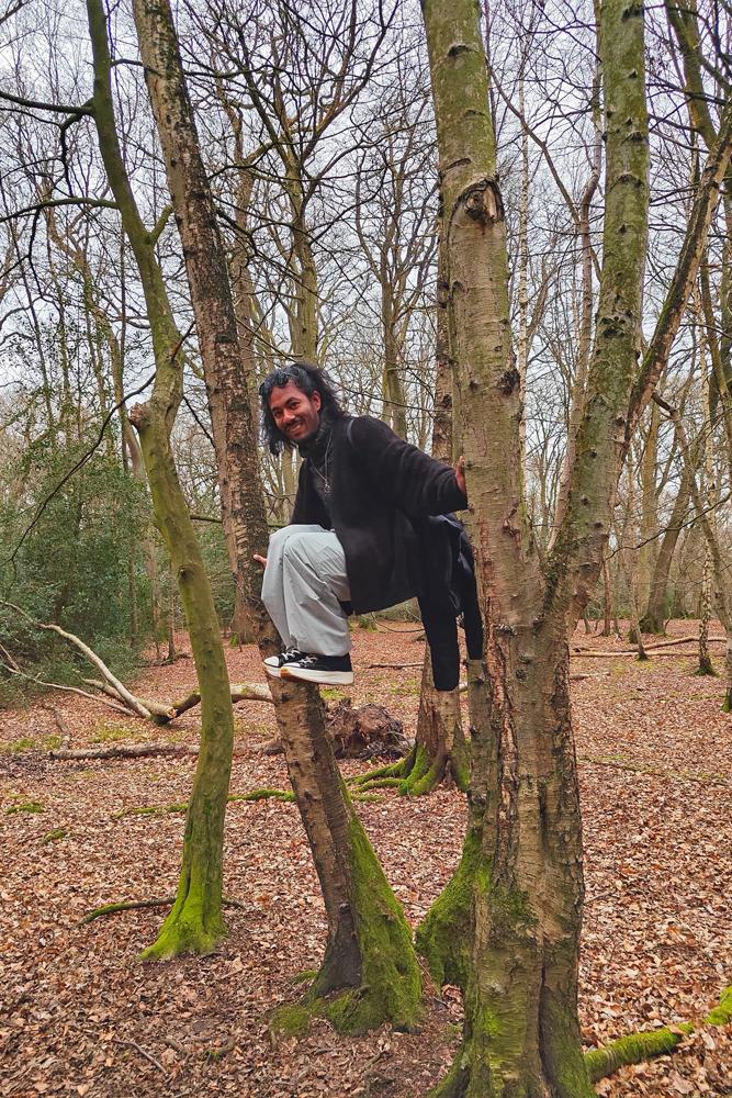 Barneyarc's fit featuring Zara, Converse, SHEIN, boohooMAN, ASOS | [object Object], [object Object], [object Object], [object Object], [object Object], [object Object], [object Object], [object Object]