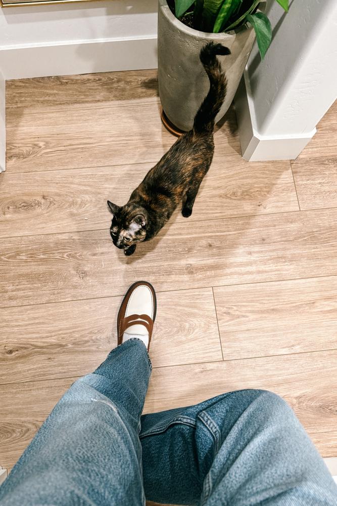 aardvark's fit featuring , , , 