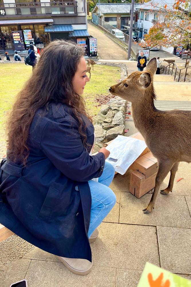 snugglebunbun's fit featuring , , ,  | [object Object], [object Object], [object Object], [object Object], [object Object], [object Object], [object Object], [object Object]