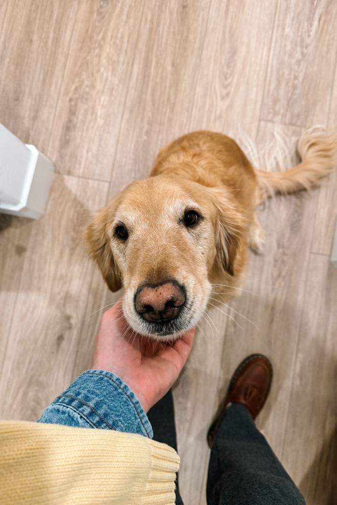 aardvark's fit featuring , , 