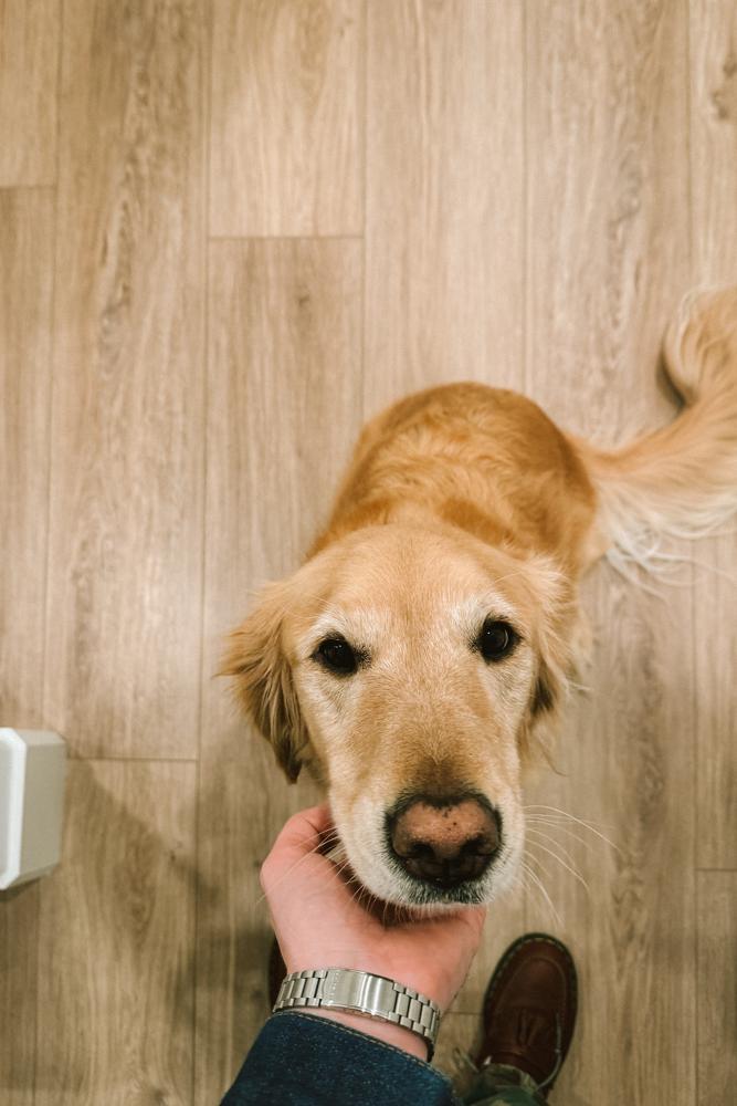 aardvark's fit featuring Wrangler, Dr. Martens, Seiko, L.L. Bean | [object Object], [object Object], [object Object], [object Object], [object Object]
