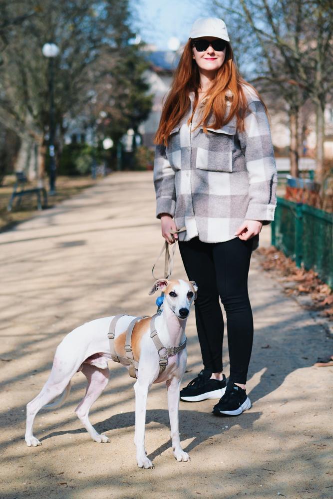 Alicixxx's fit featuring Ray-Ban, Calvin Klein, H&M, Adidas