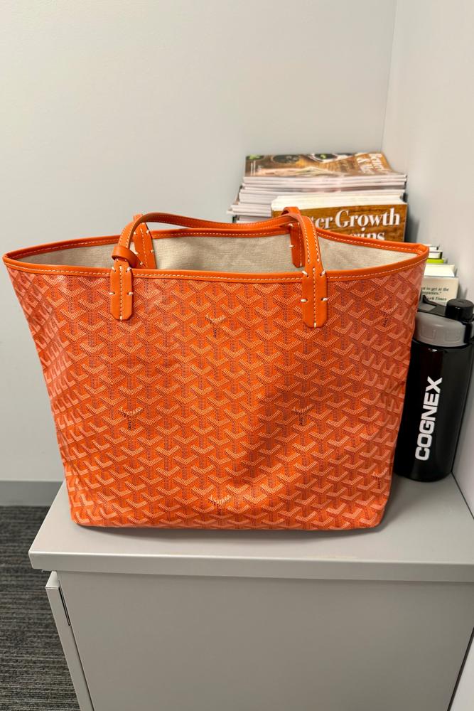 GAviv's fit featuring Goyard, Talbots, Anthropologie